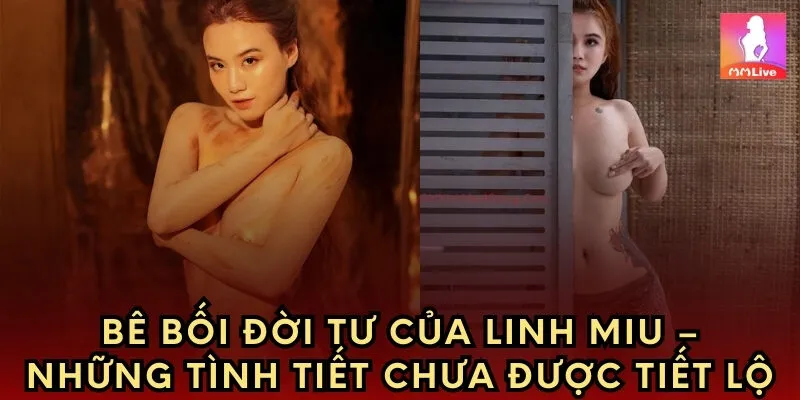 Bê bối đời tư của Mỹ Linh – Những tình tiết chưa được tiết lộ