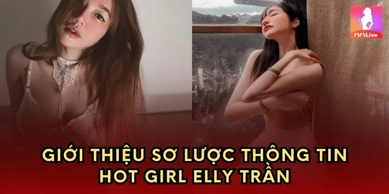 Giới thiệu sơ lược thông tin hot girl Elly Trần
